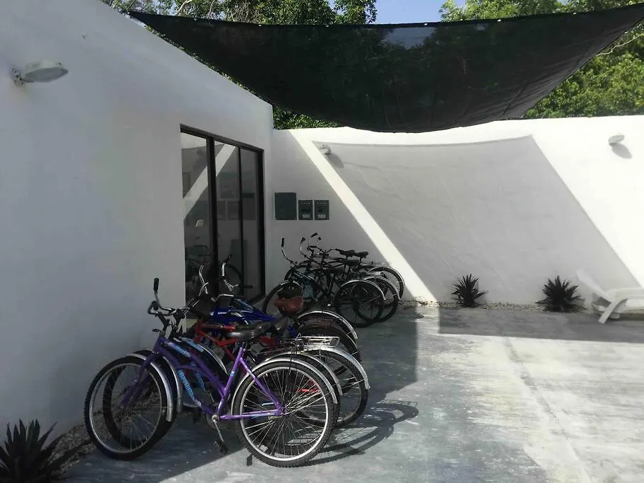 “La Villa Ross” Un Lugar Encantador Con Alberca 0*, Cozumel Meksyk